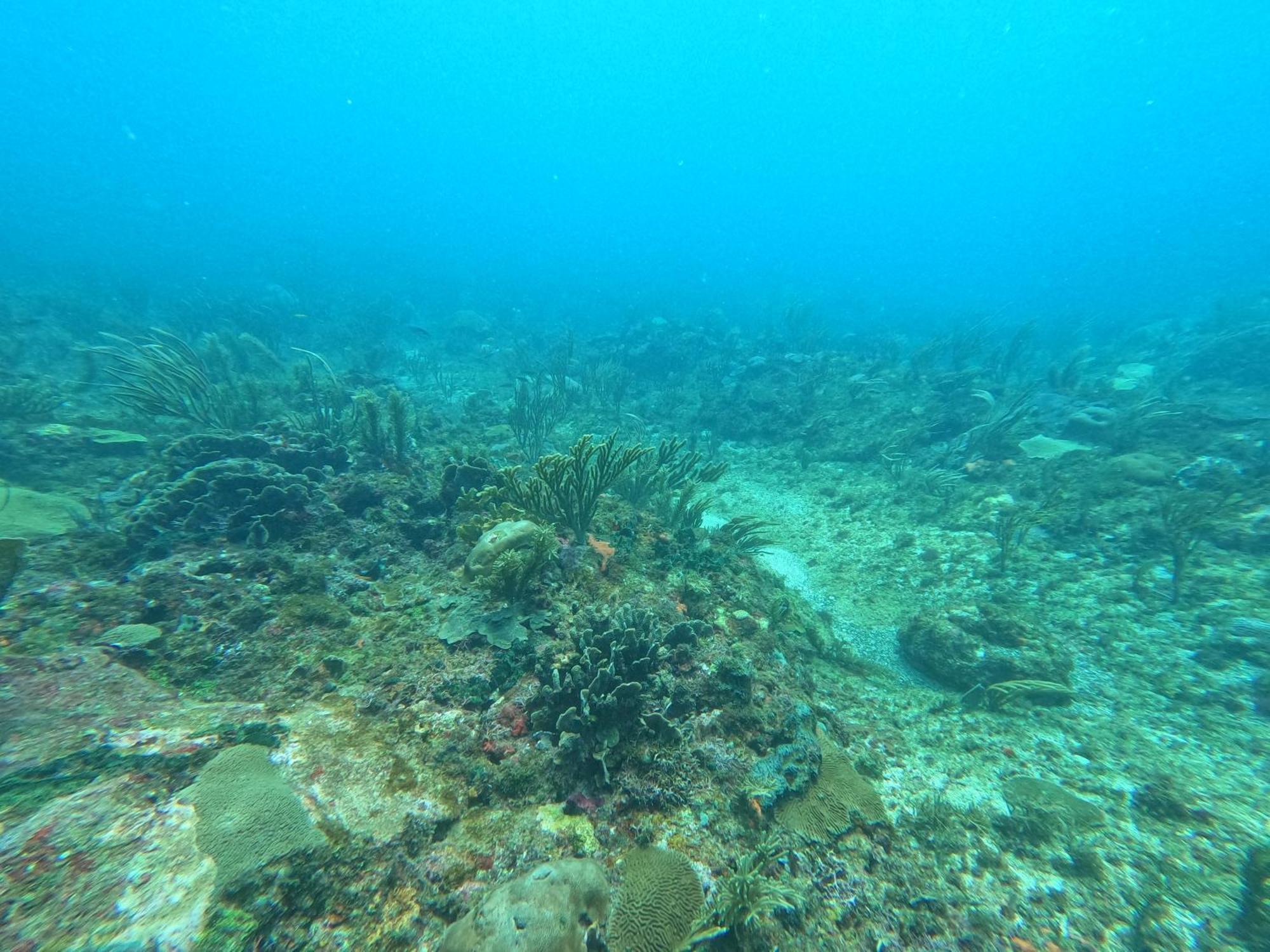 Bahía Aguacate Capurganá